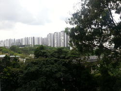 Blk 295A Compassvale Crescent (Sengkang), HDB 4 Rooms #151350042